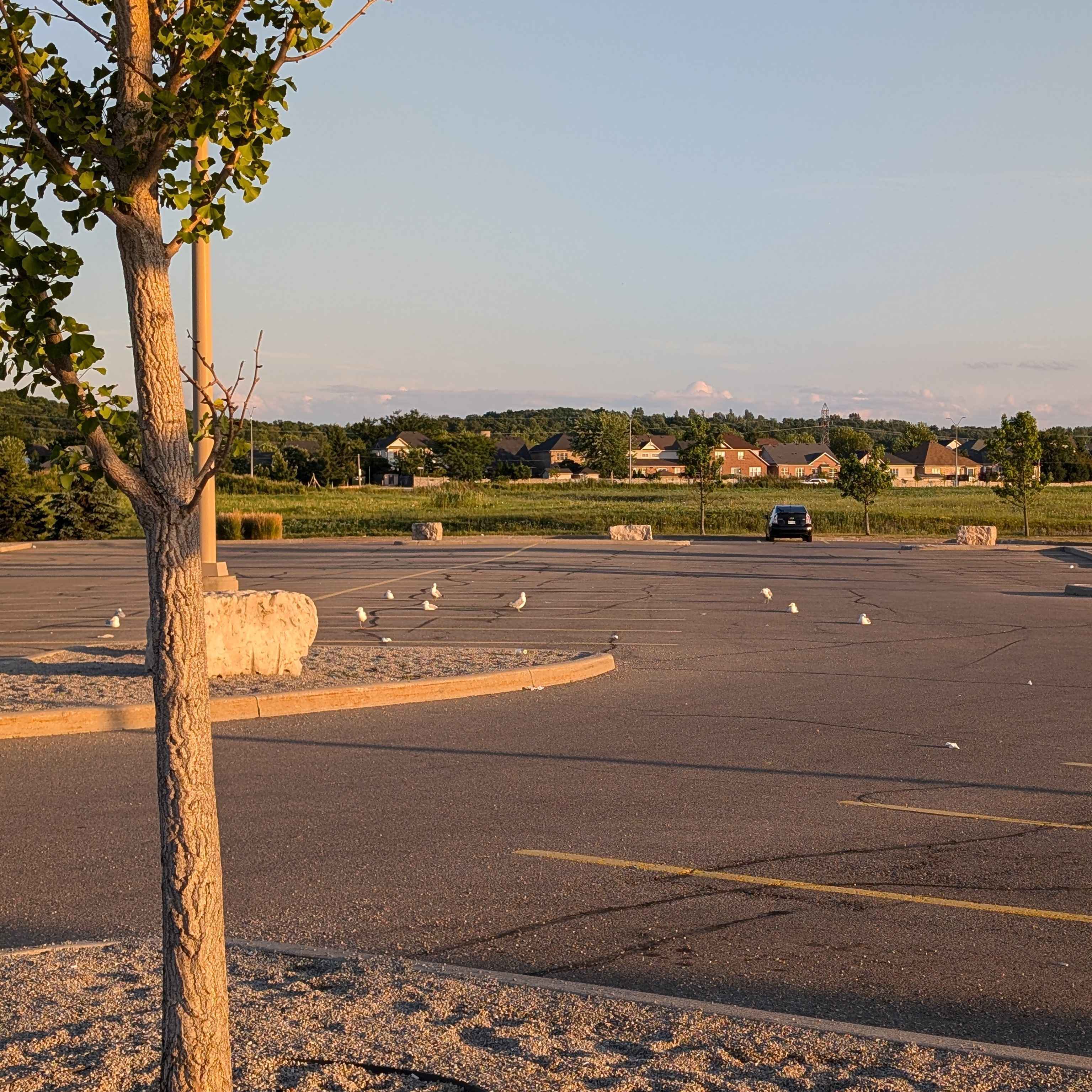 Niagara-On-The-Lake's empty parking lot. I had just finished work and was on the way to my car.