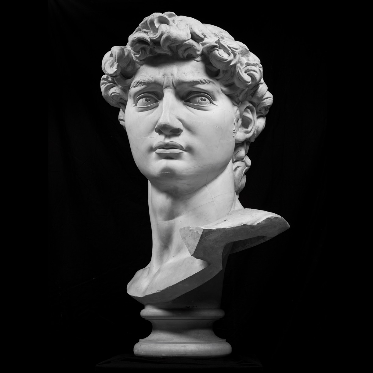 A reference image of the Head of David sculpt. Here I looked at how the shadows are blocked to add to form
                and personality (in terms of expression).